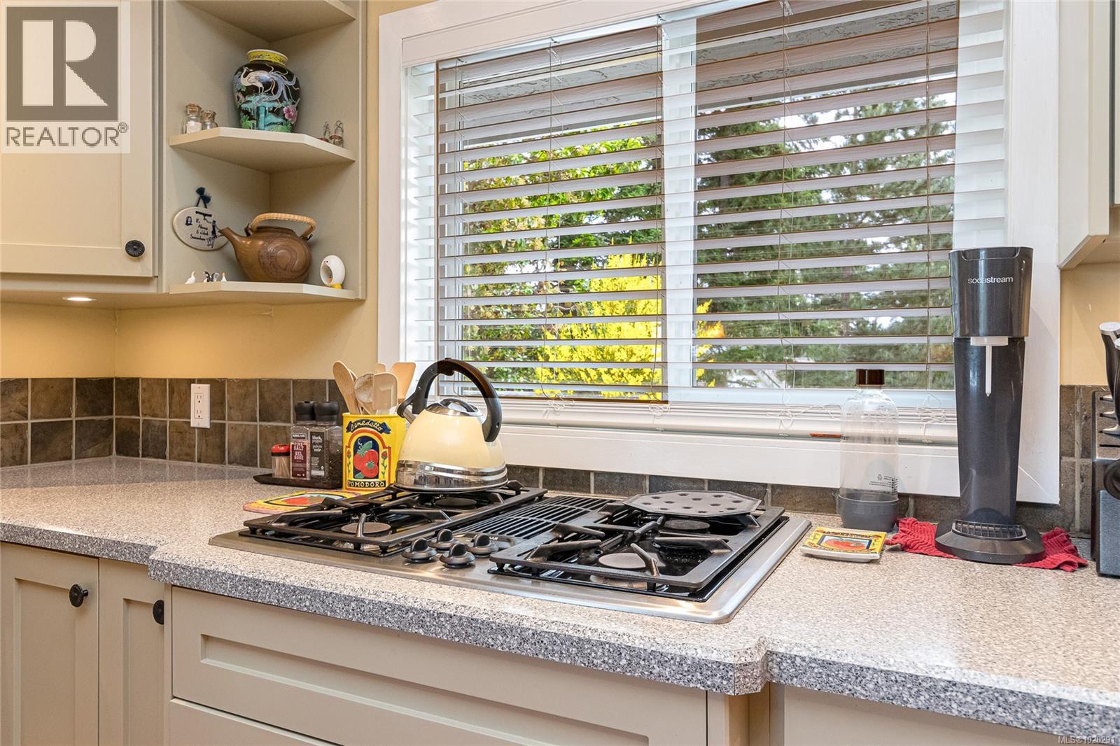 4725 Treetop Hts, Saanich