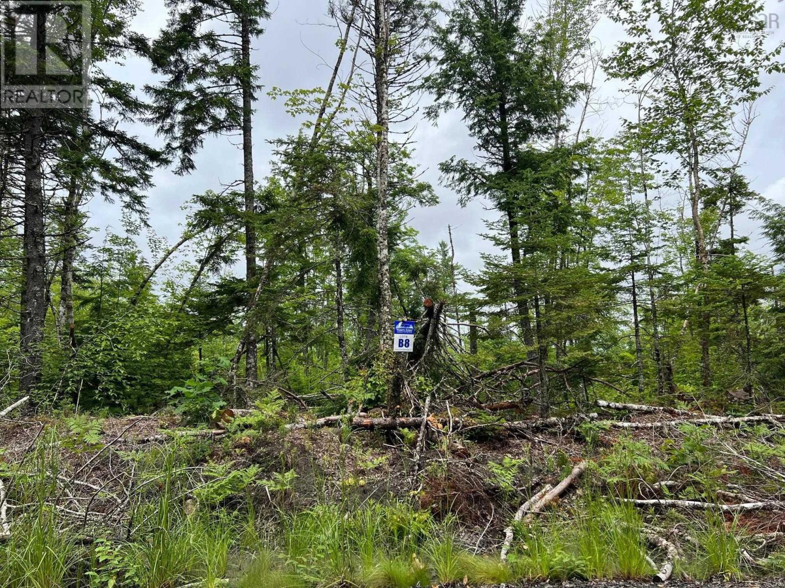 Vacant Land for Sale in Lot  Russells Cove Road Parkdale 