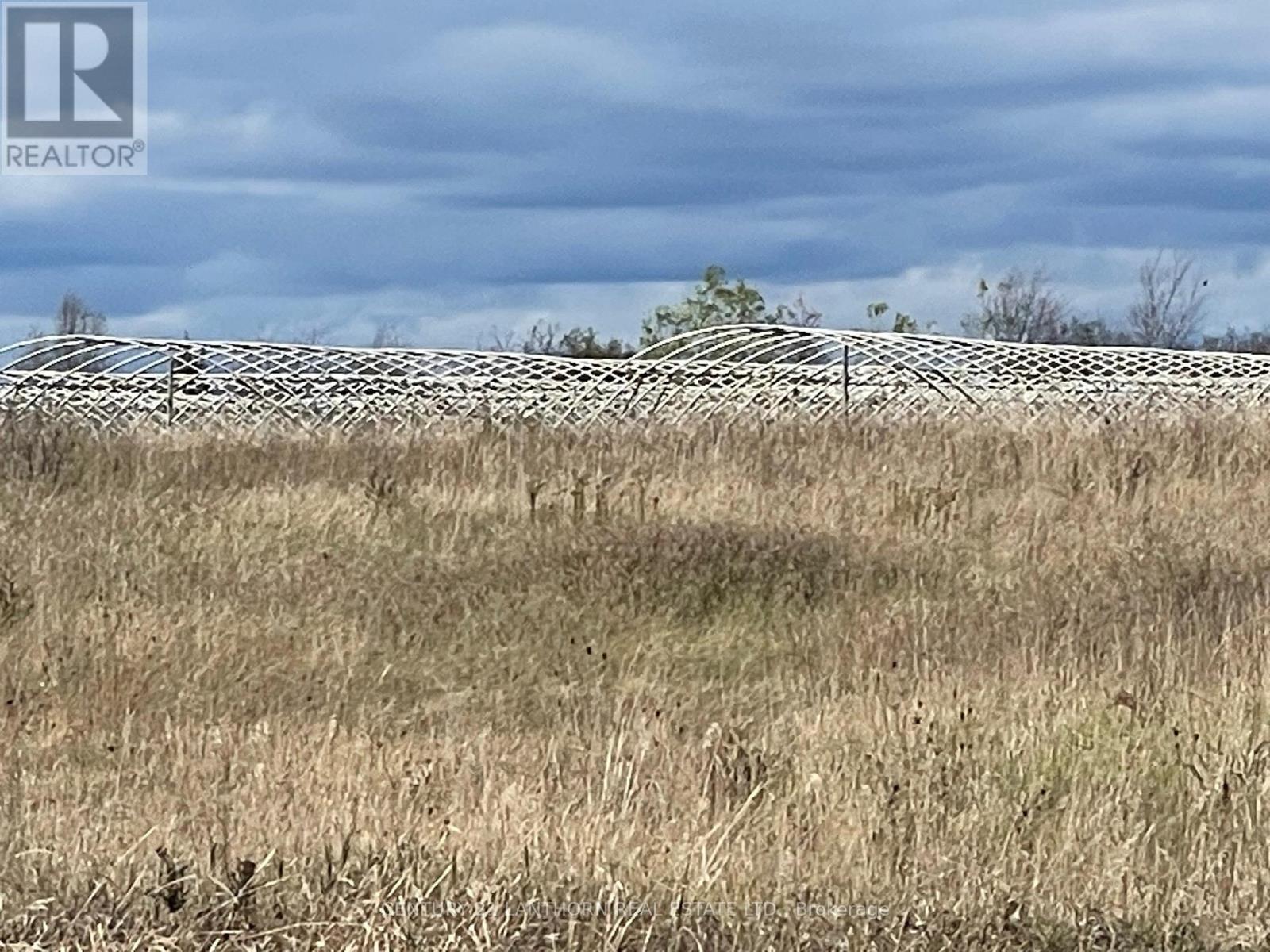 248, 271 County Rd 20 photo 3