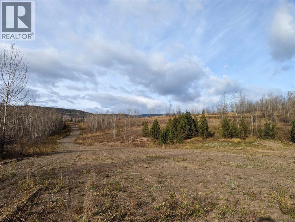 #REM-000 CARR Road, Smithers