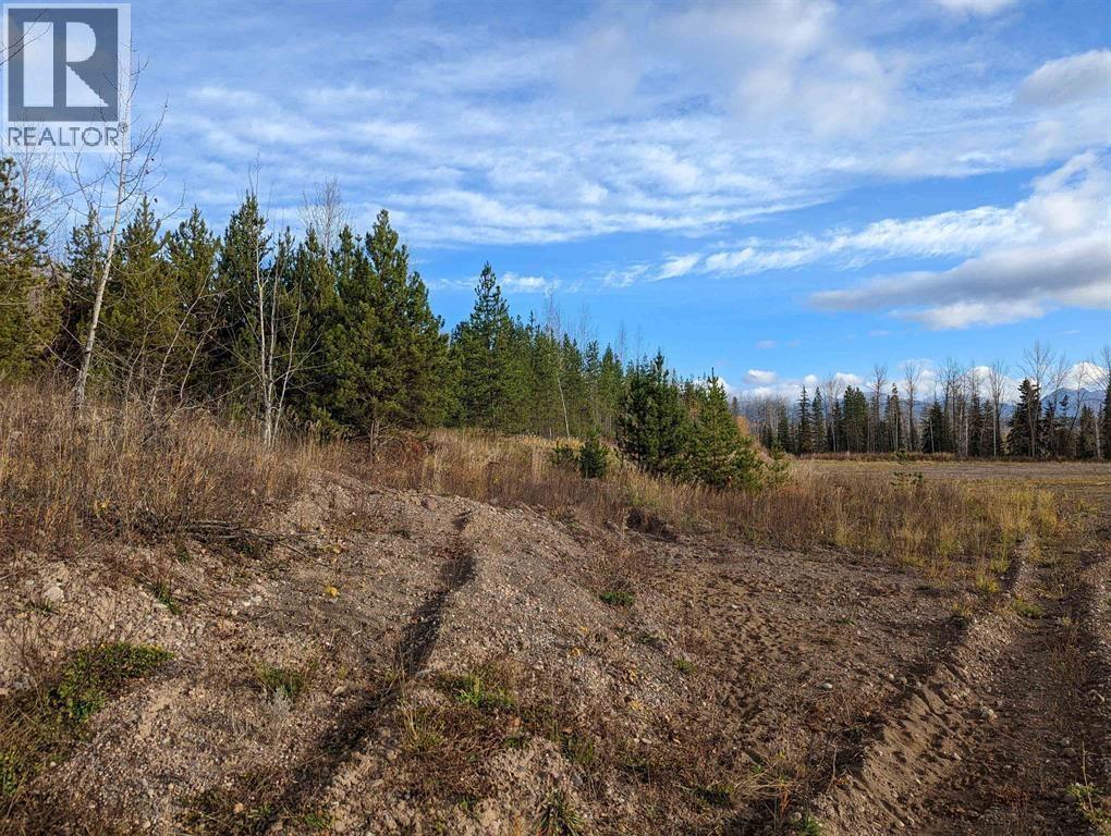 #REM-000 CARR Road, Smithers