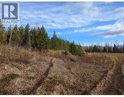 Rem Lot B Carr Road, Smithers, BC V0J2N0 Photo 6