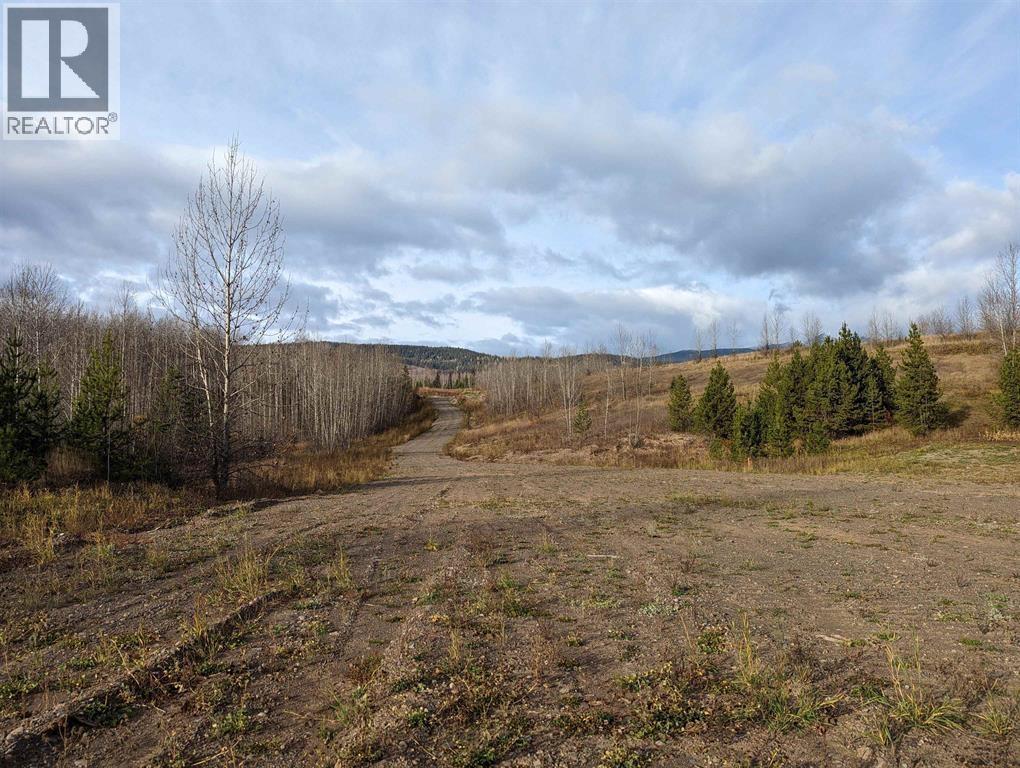 #REM-000 CARR Road, Smithers