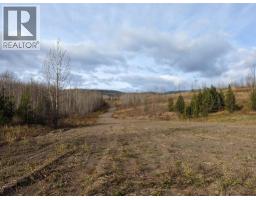 Rem Lot B Carr Road, Smithers, BC V0J2N0 Photo 10