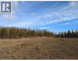 Rem Lot B Carr Road, Smithers, BC V0J2N0 Photo 8