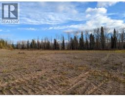 Rem Lot B Carr Road, Smithers, BC V0J2N0 Photo 9