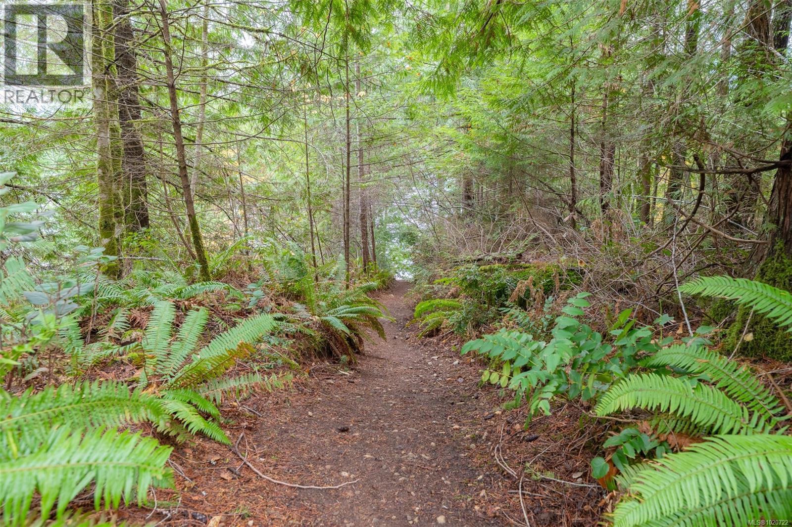 10115 South Dr, Port Alberni