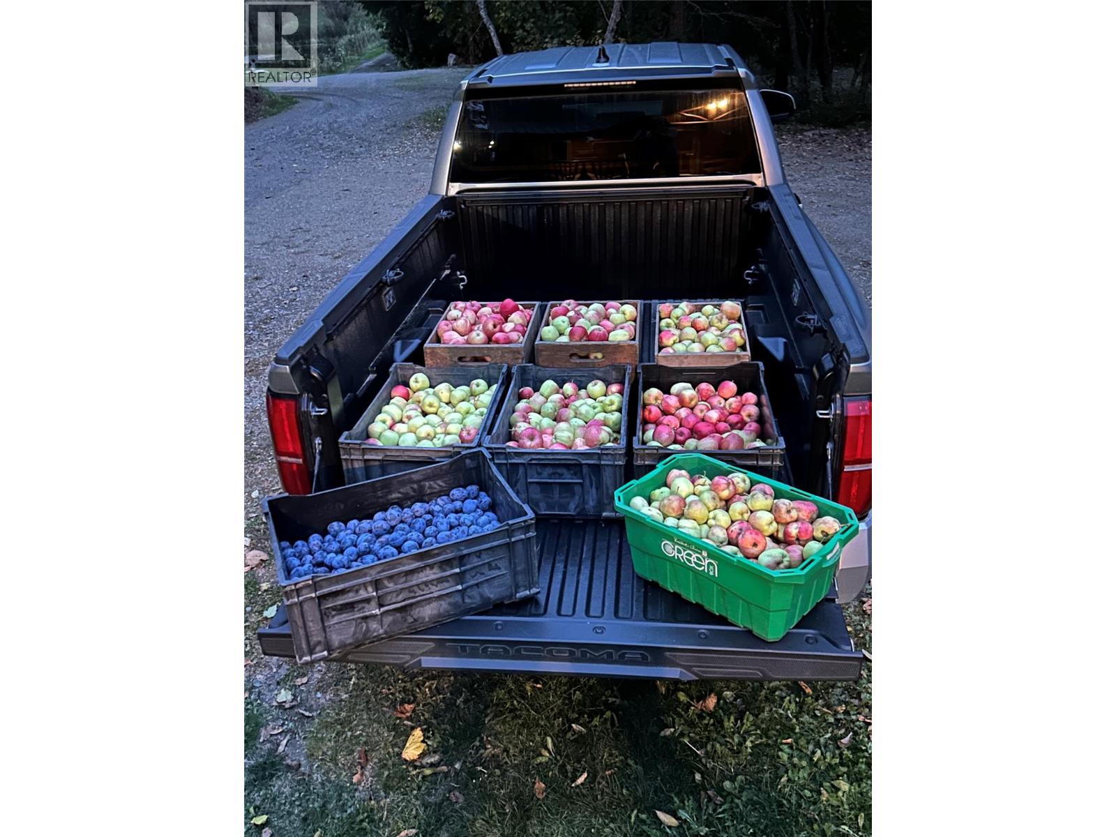 4878 Leopold Road, Celista