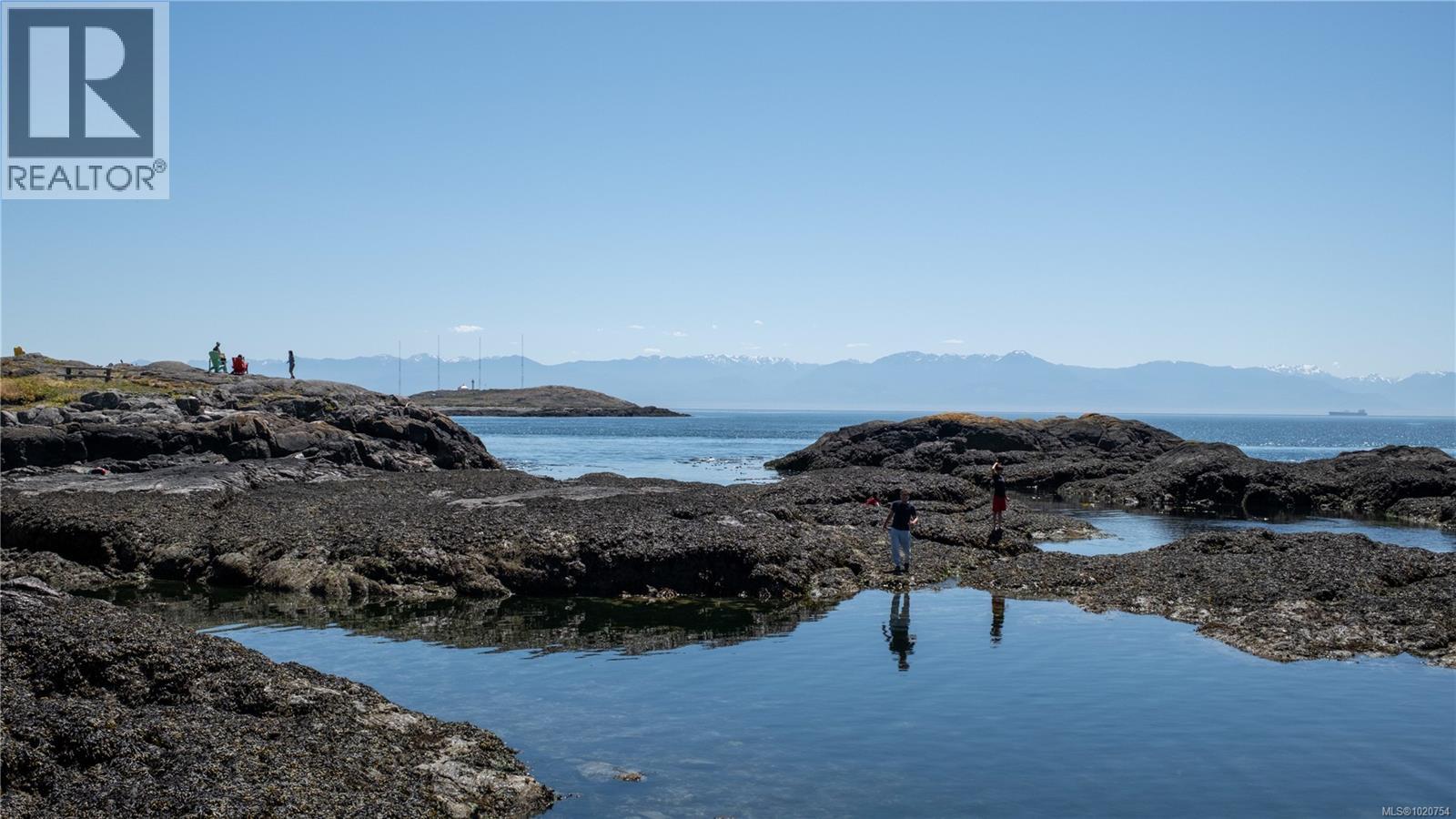  517 Victoria Avenue, Oak Bay