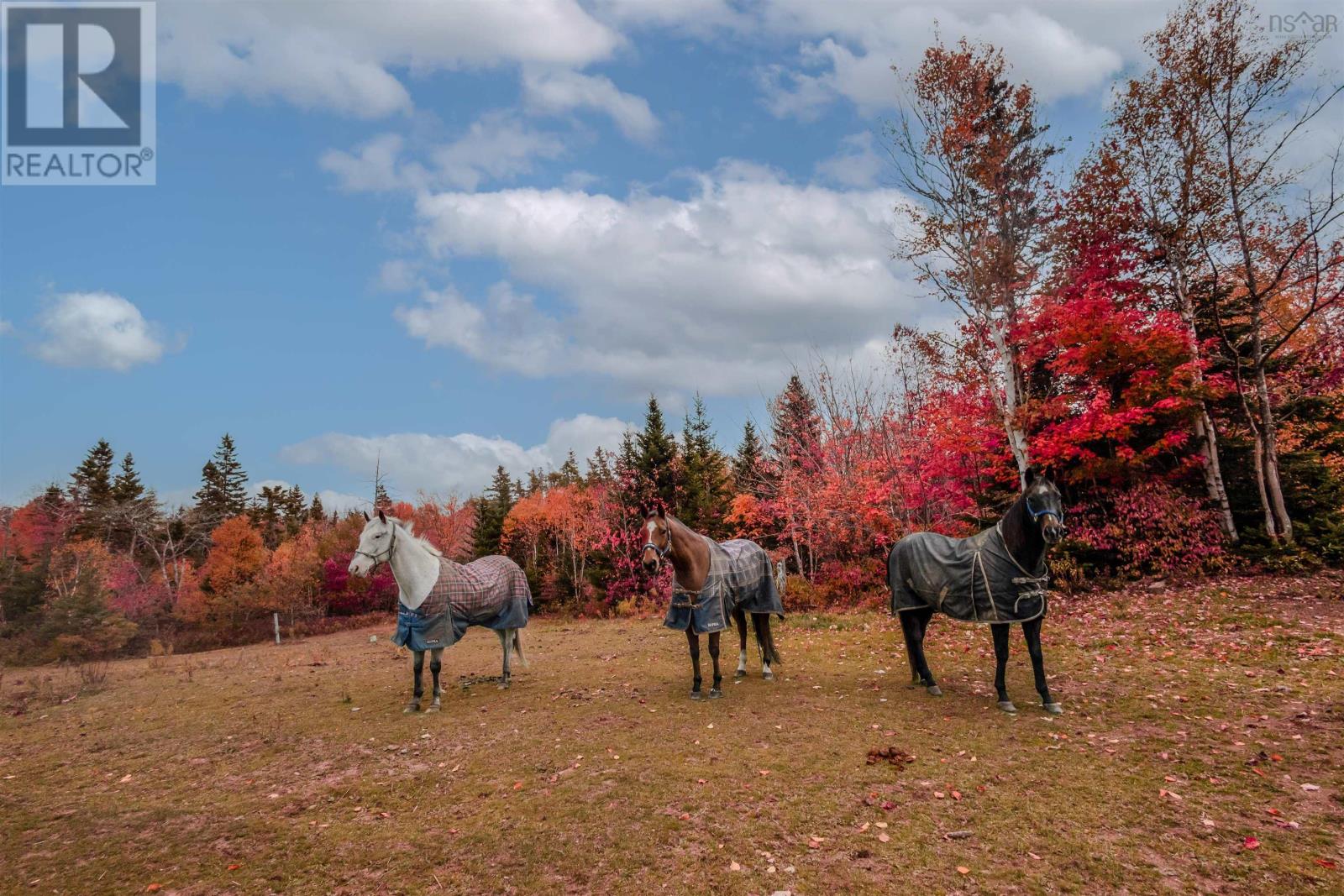 Property 15 of 41 of 328 Brickyard Road