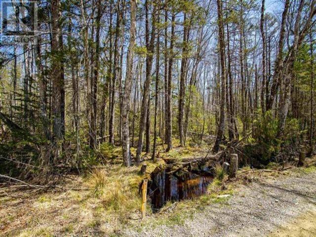 Property 6 of 7 of Secret Road