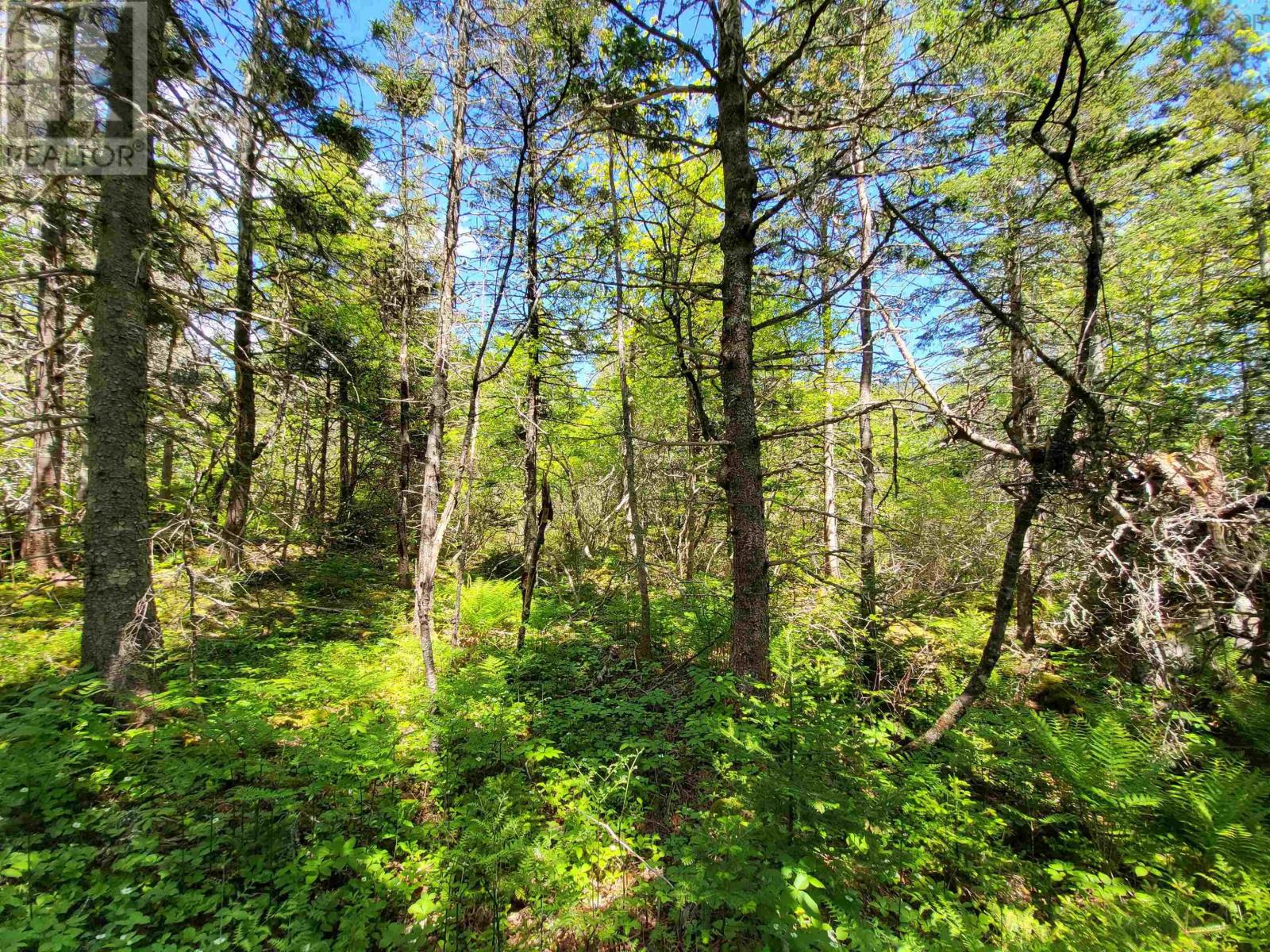 Property 12 of 17 of Lot C4 Everetts Way