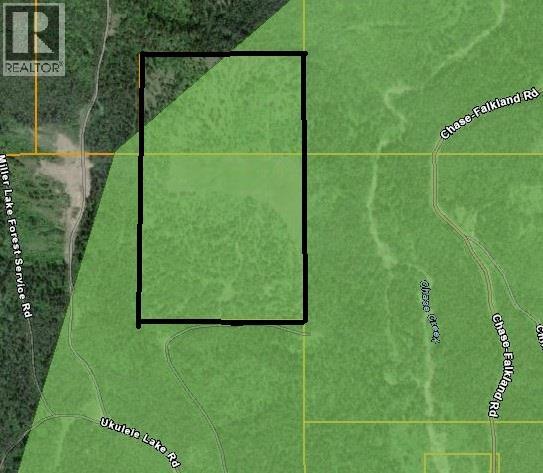 3680 MILLER LAKE FSR FOREST - 12