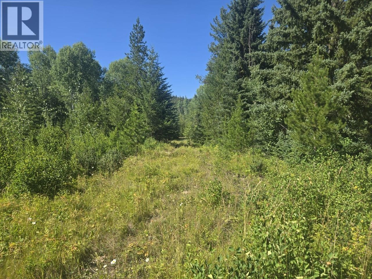 3680 MILLER LAKE FSR FOREST - 13