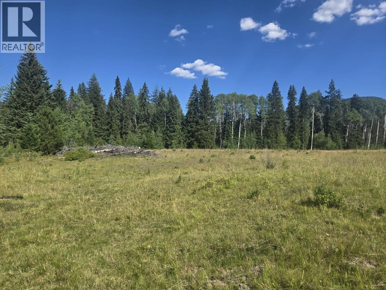 3680 MILLER LAKE FSR FOREST - 6