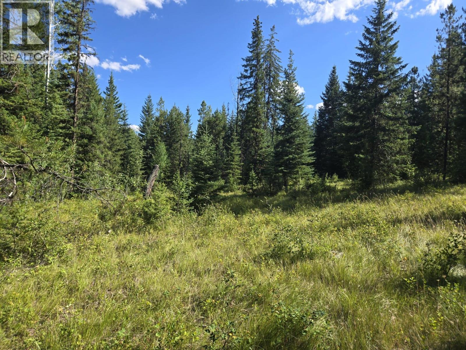 3680 MILLER LAKE FSR FOREST - 25