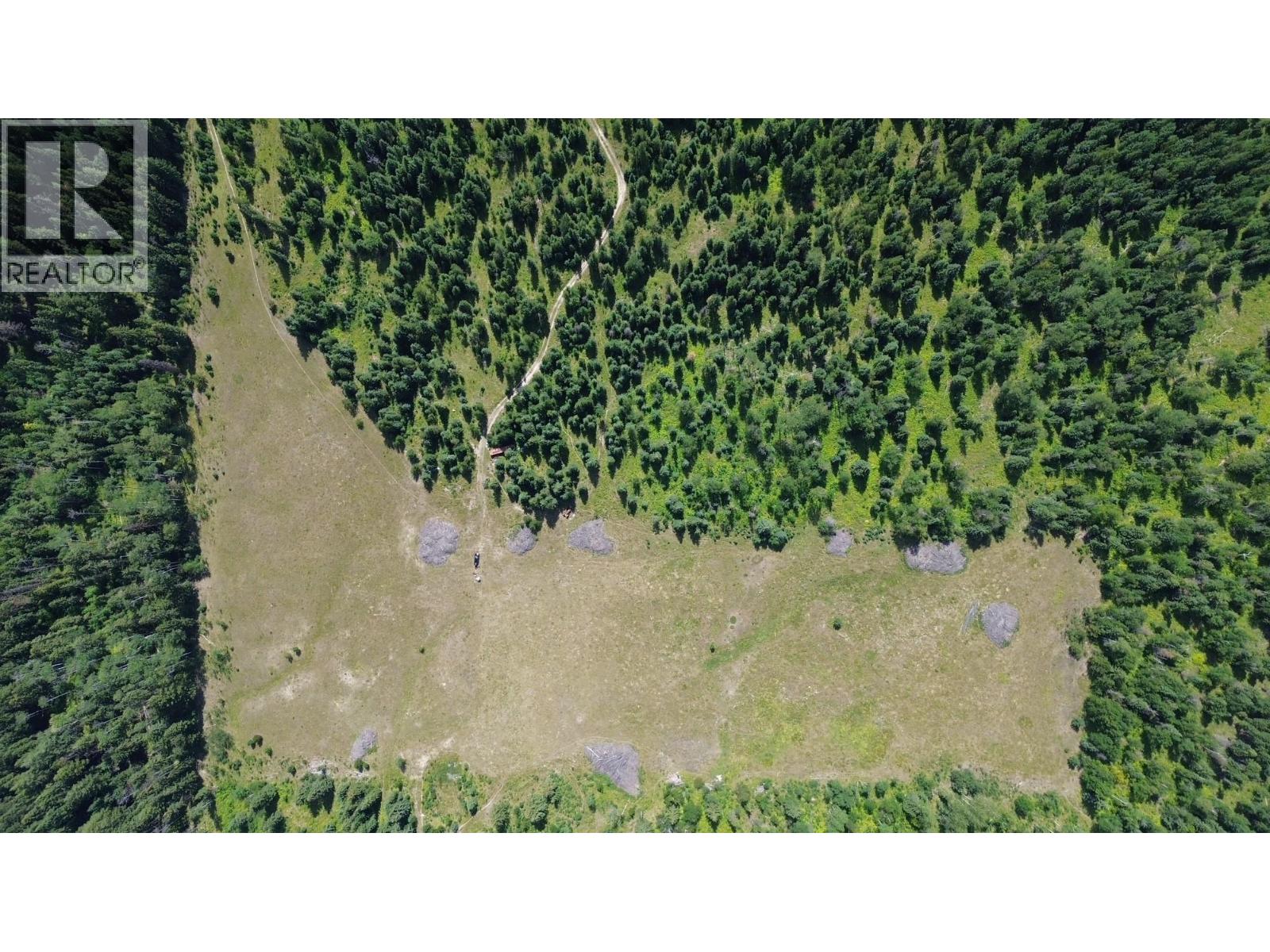 3680 MILLER LAKE FSR FOREST - 14