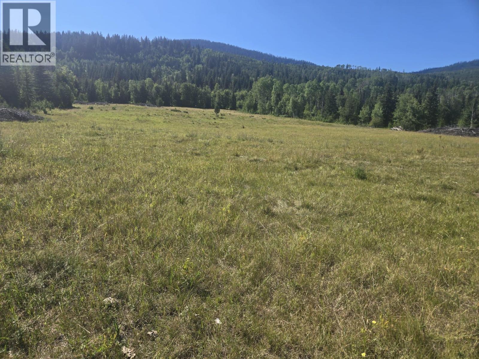 3680 MILLER LAKE FSR FOREST - 9