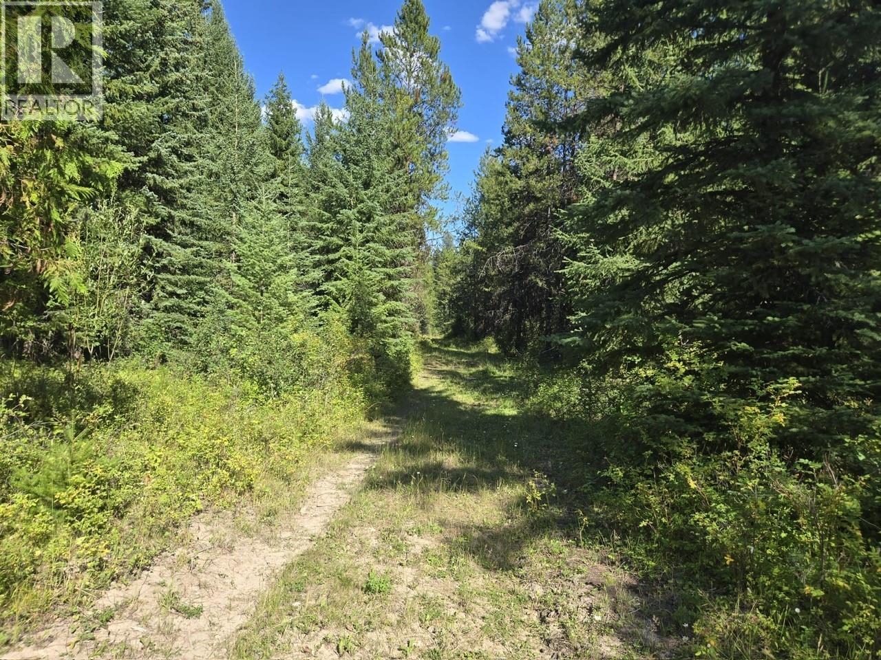 3680 MILLER LAKE FSR FOREST - 23