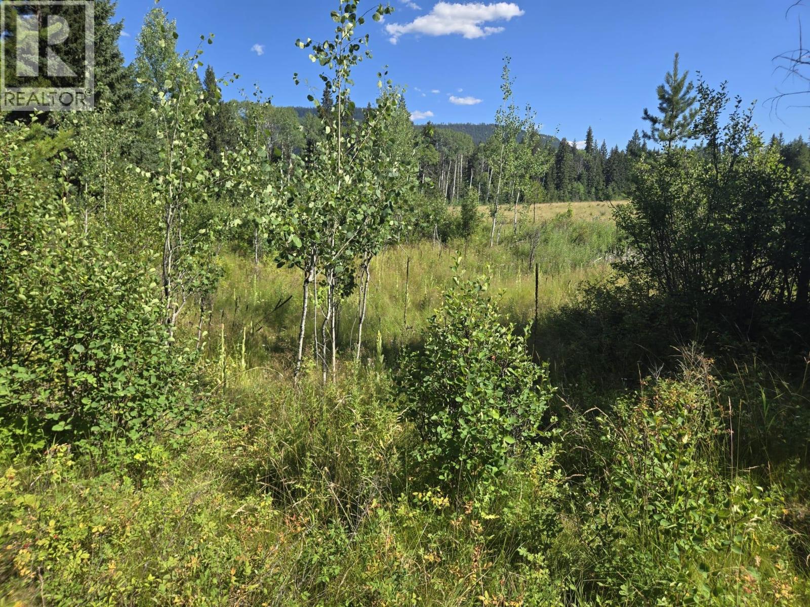 3680 MILLER LAKE FSR FOREST - 26