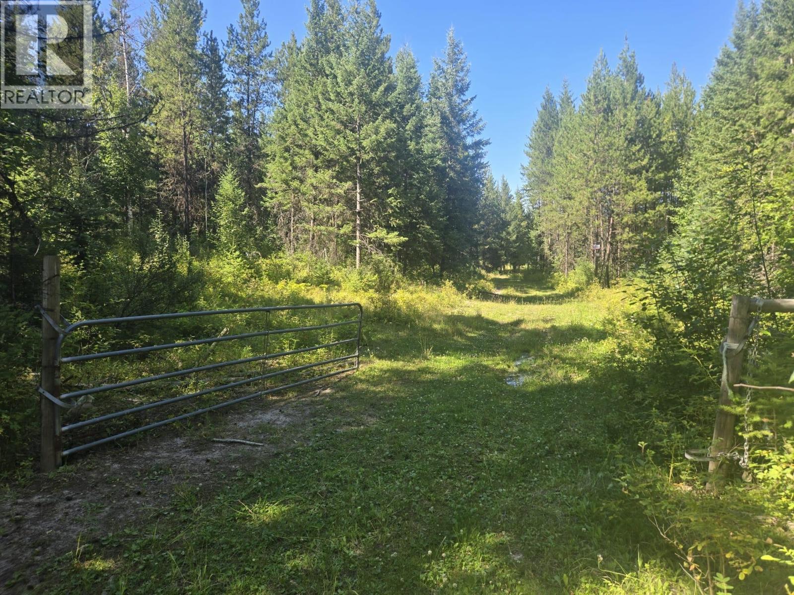 3680 MILLER LAKE FSR FOREST - 8