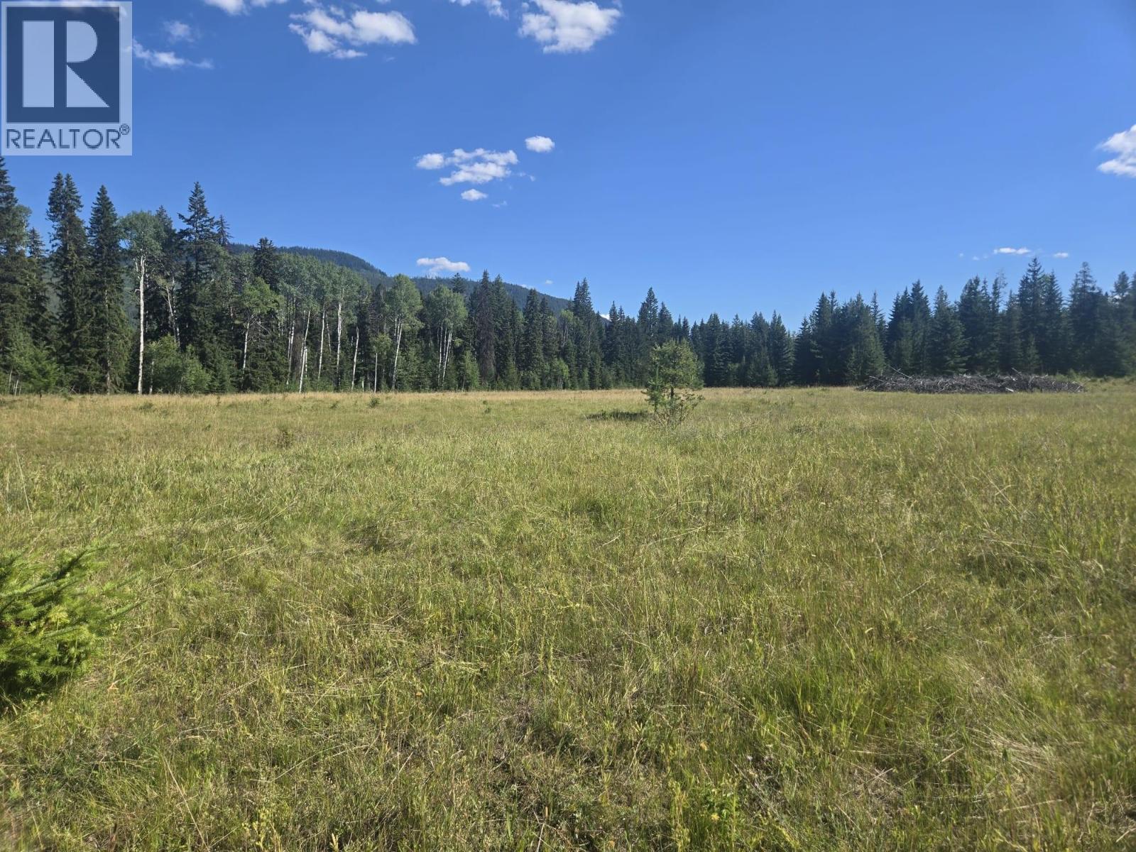 3680 MILLER LAKE FSR FOREST - 7