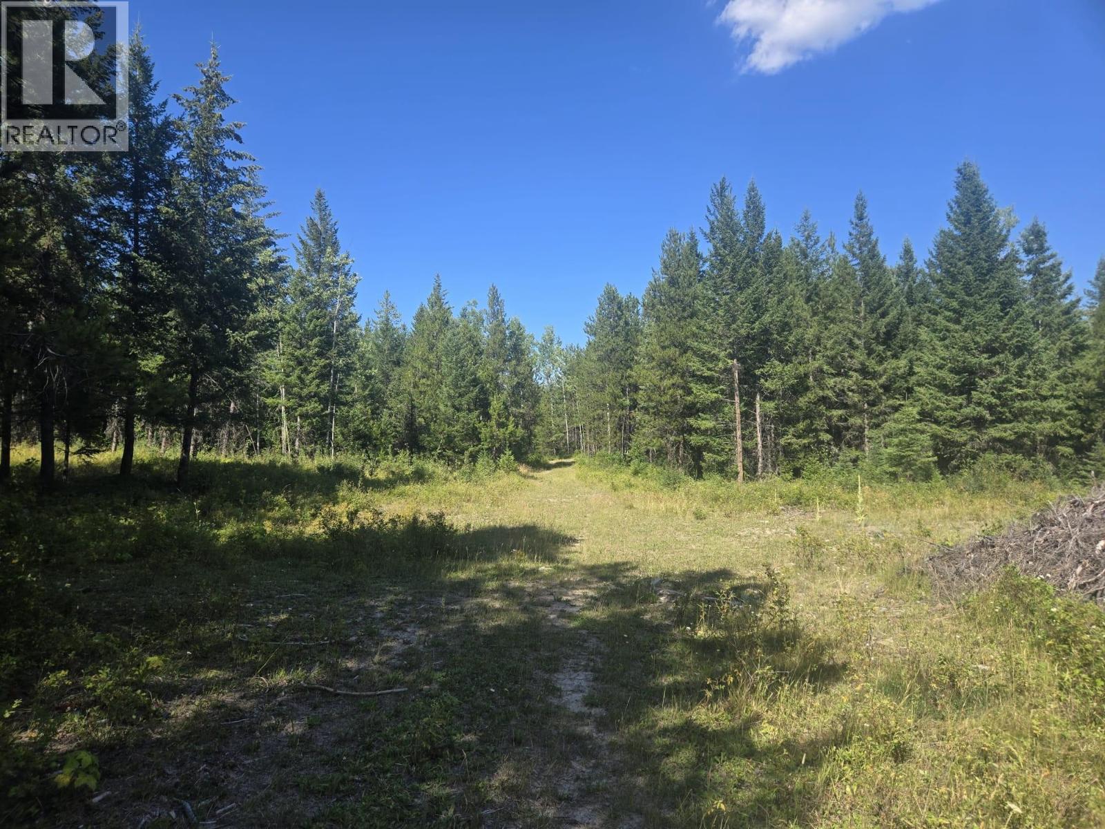 3680 MILLER LAKE FSR FOREST - 10