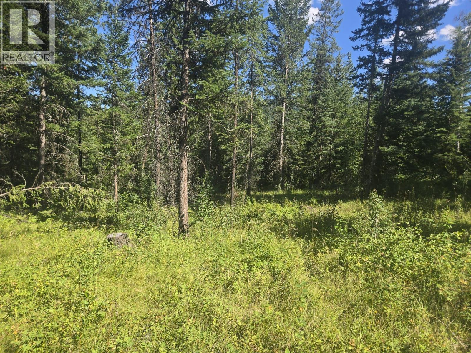 3680 MILLER LAKE FSR FOREST - 16