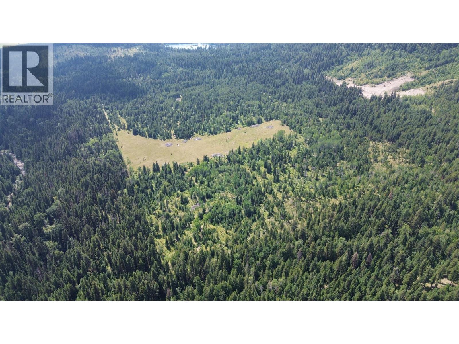 3680 MILLER LAKE FSR FOREST - 15