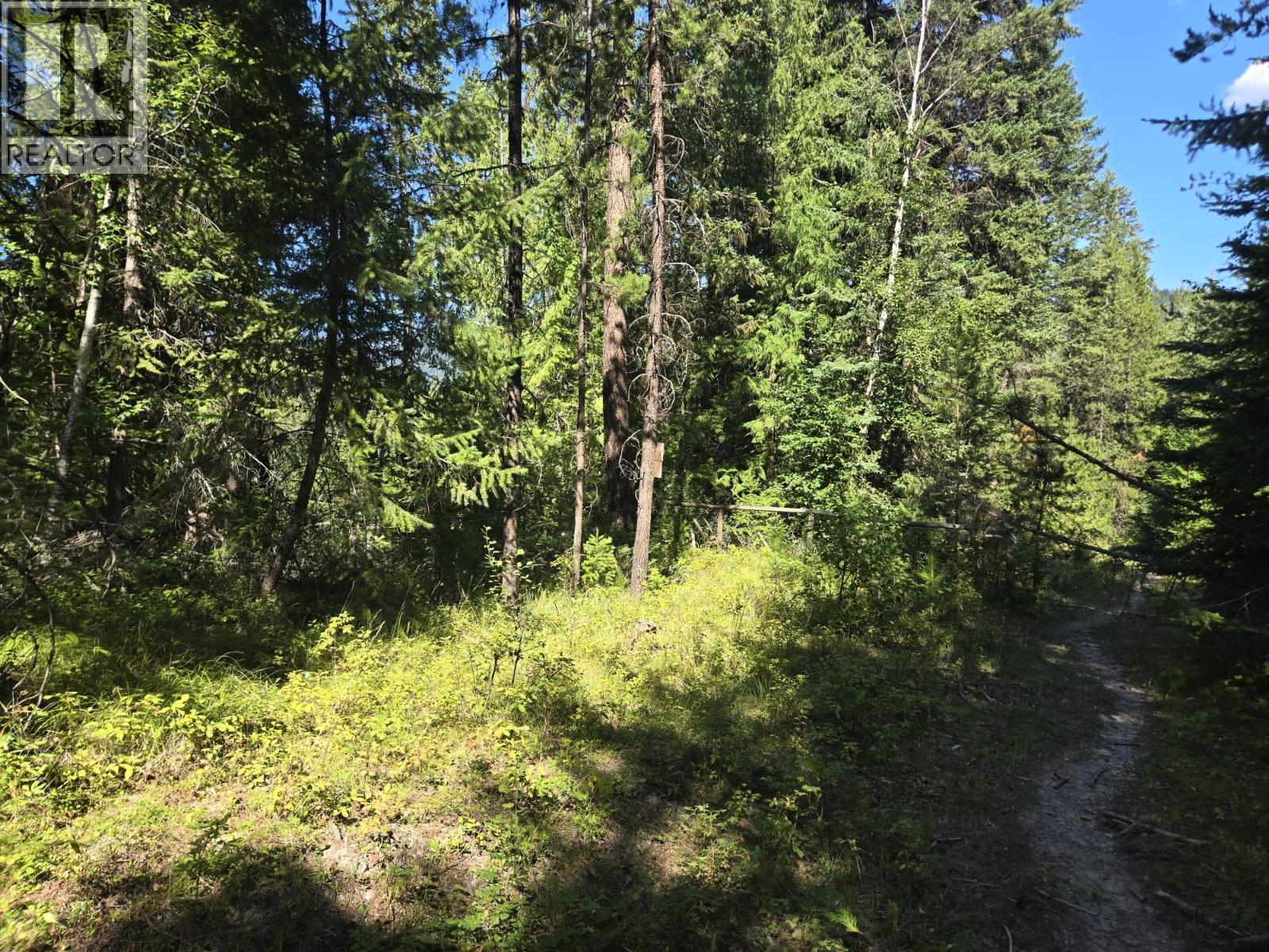 3680 MILLER LAKE FSR FOREST - 27