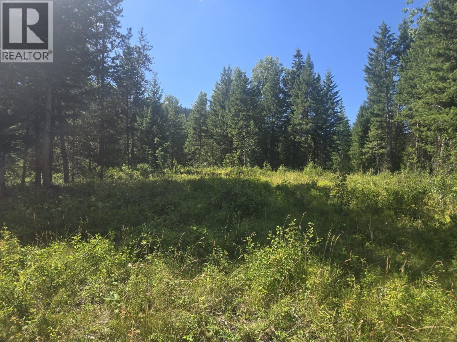 3680 MILLER LAKE FSR FOREST - 11