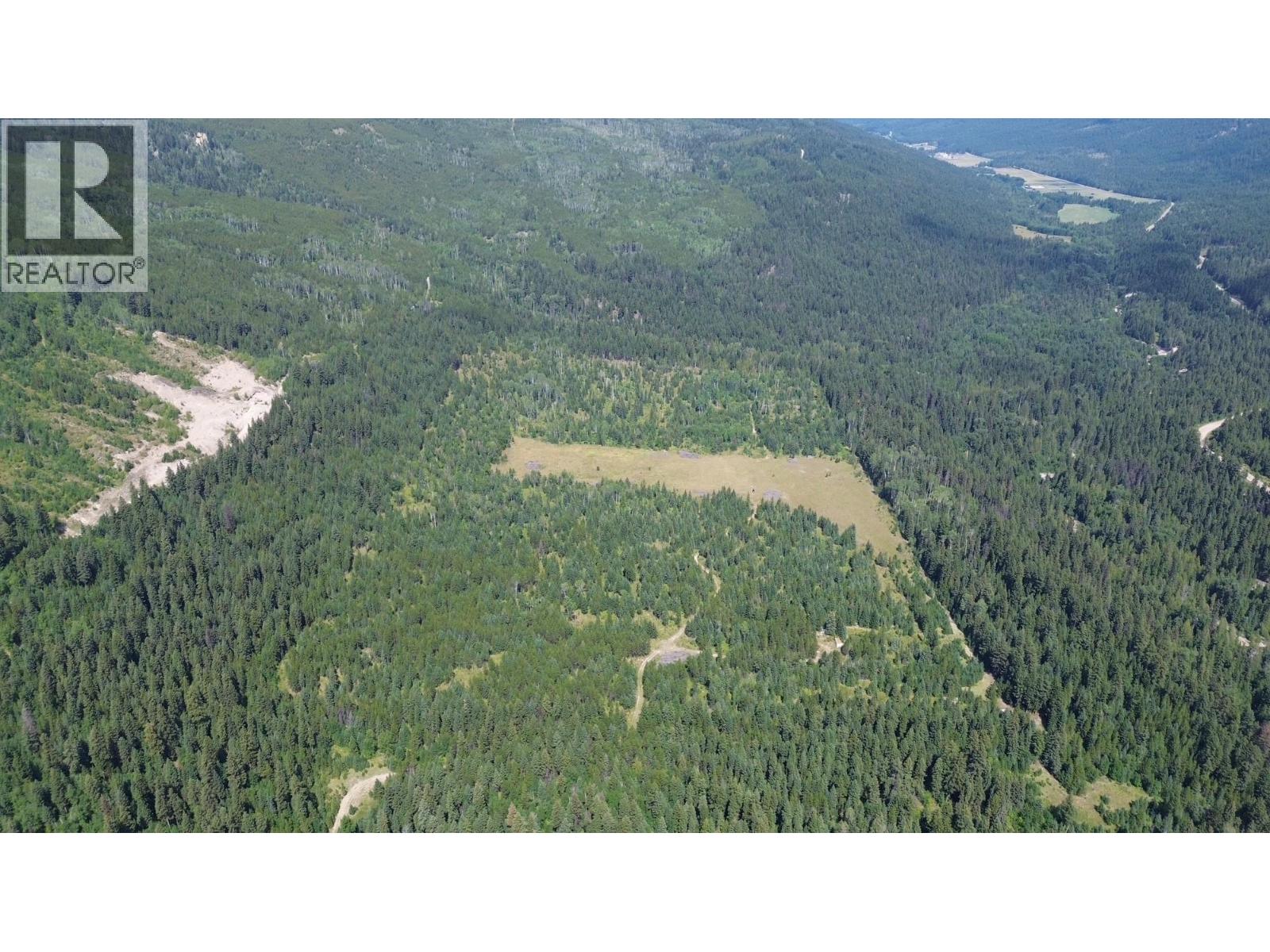 3680 MILLER LAKE FSR FOREST - 19