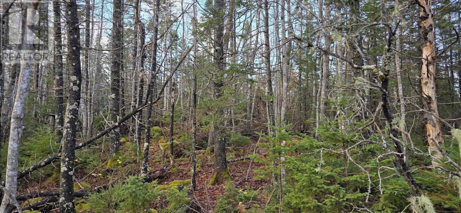 Property 15 of 24 of Lot 16 Eastern Shore Road