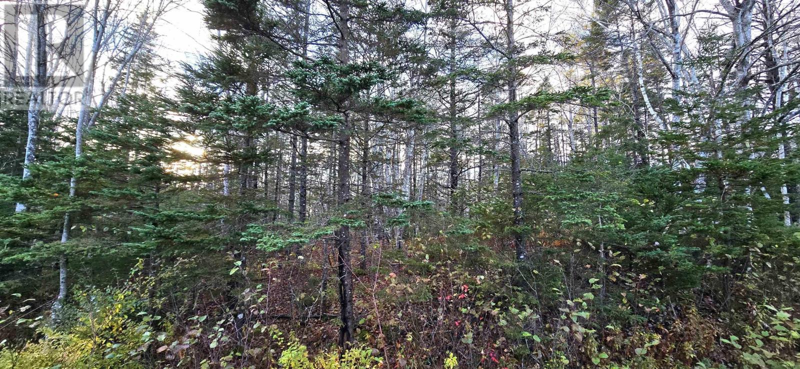 Property 4 of 24 of Lot 16 Eastern Shore Road