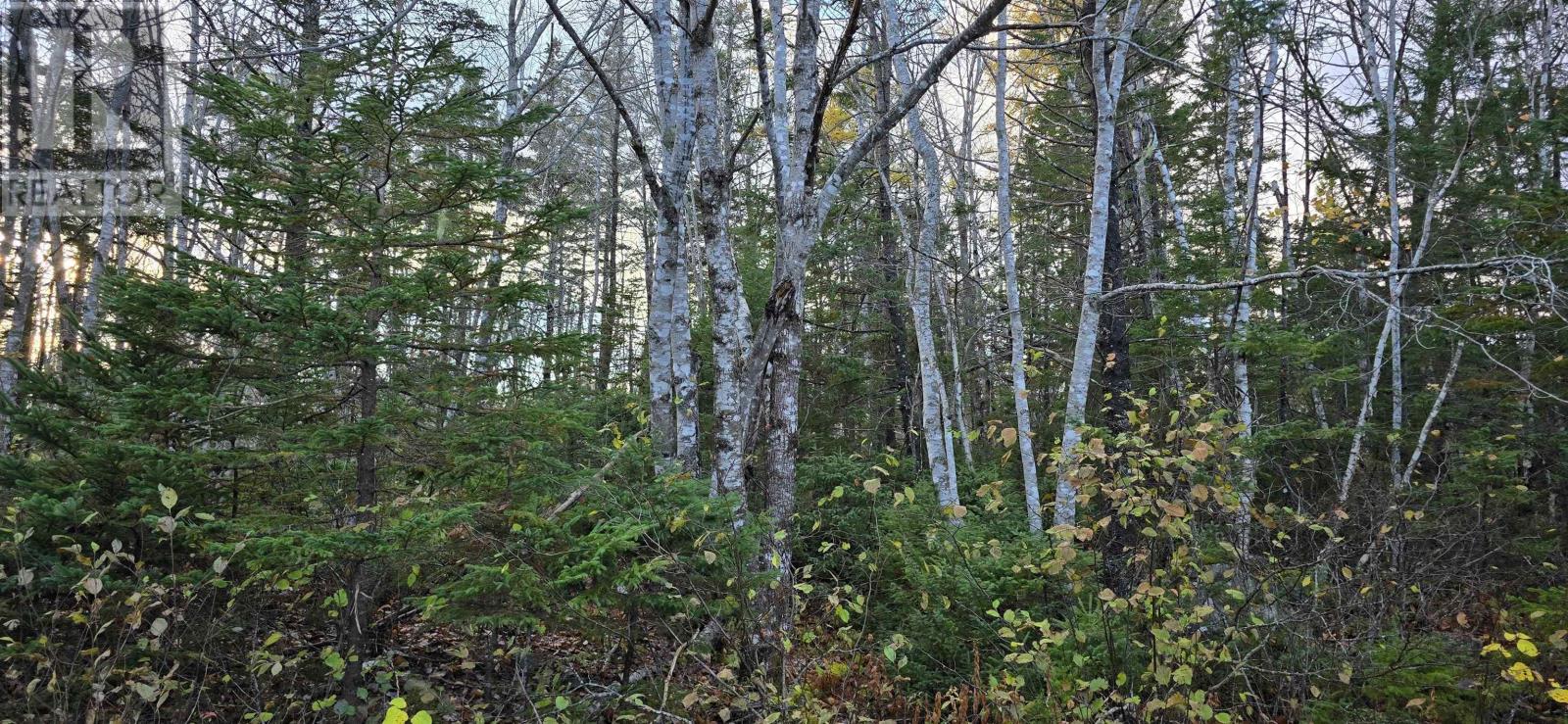 Property 10 of 24 of Lot 16 Eastern Shore Road