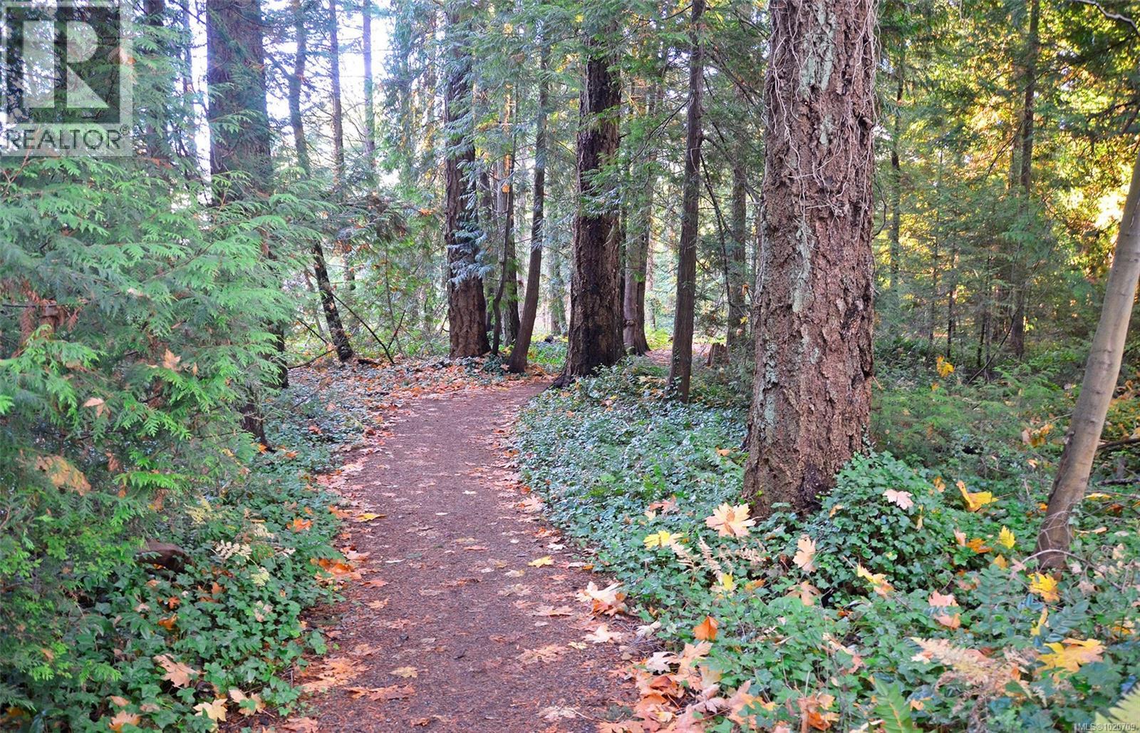 5182 Santa Clara Ave, Saanich