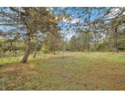 7913 192 Street, Surrey, BC V4N5S9 Photo 32