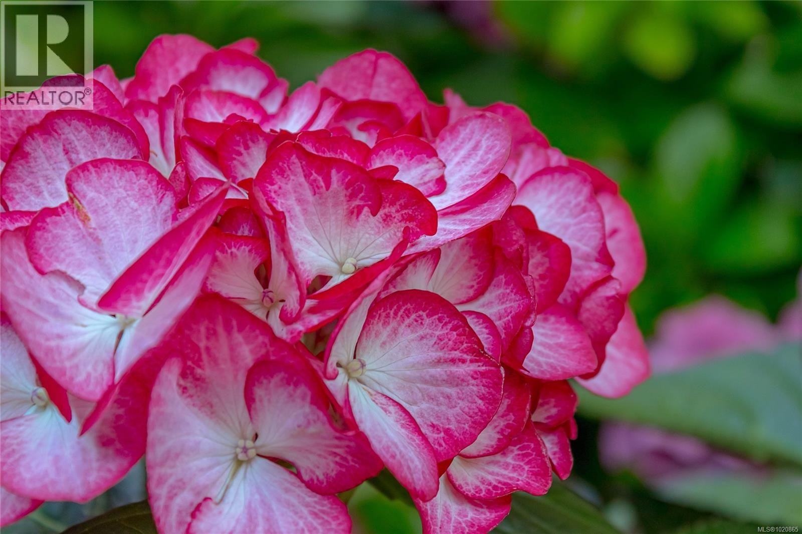 3888 Creekside Dr, Bowser