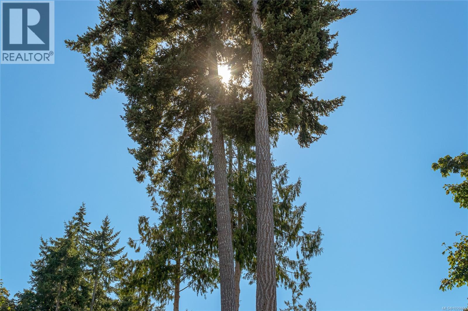 3888 Creekside Dr, Bowser