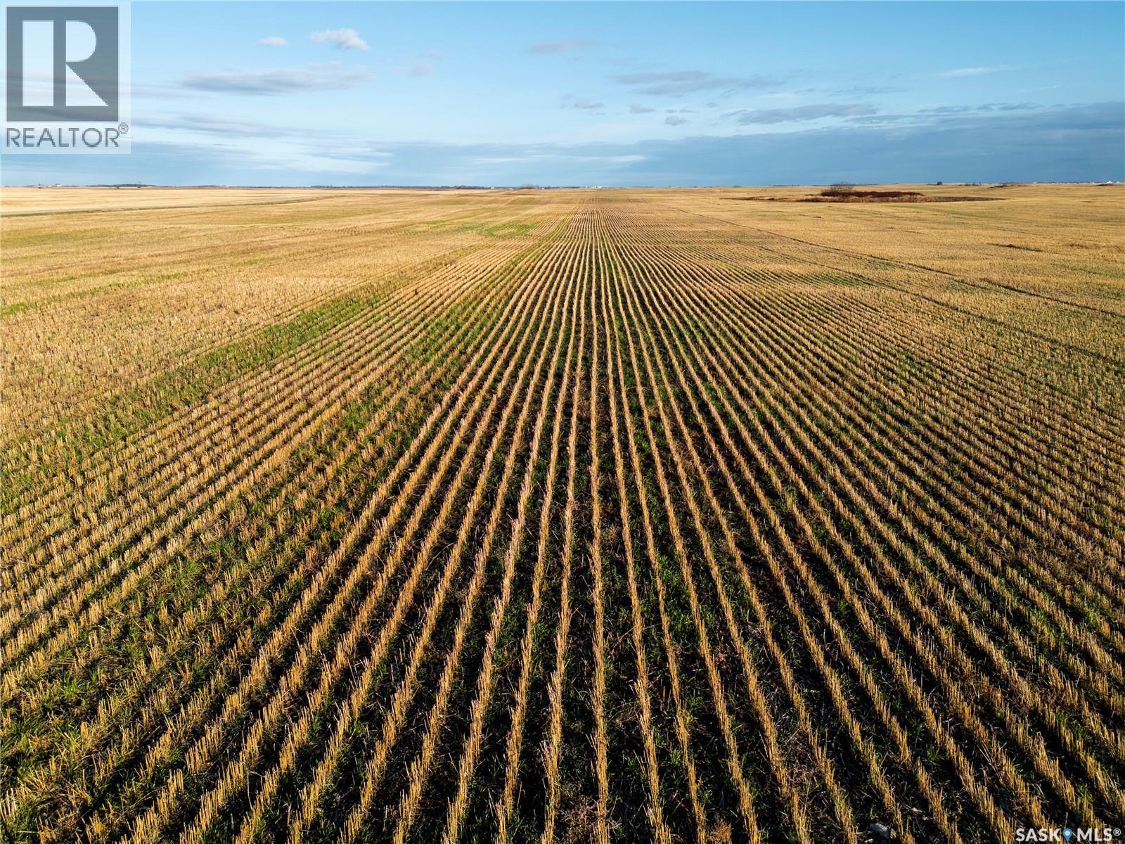 2,326 Acres - Estevan/Macoun — photo 22