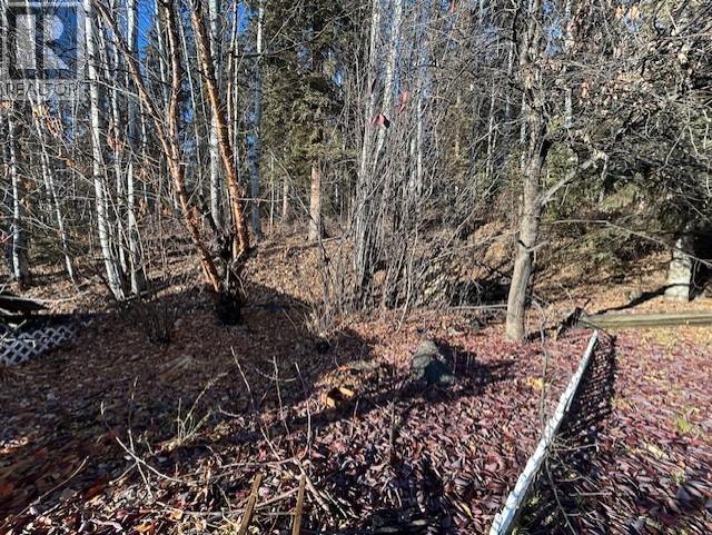 5711 GAIRDNER CRESCENT, Fort Nelson