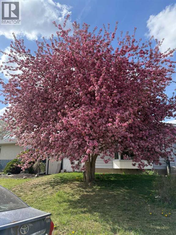 Single Family House Bungalow for Sale in  Archwood Road SE Acadia Calgary 