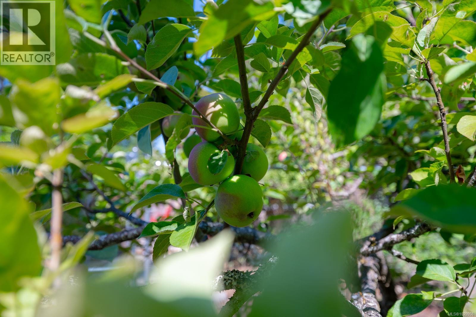 4471 Southgate Rd, Port Alberni