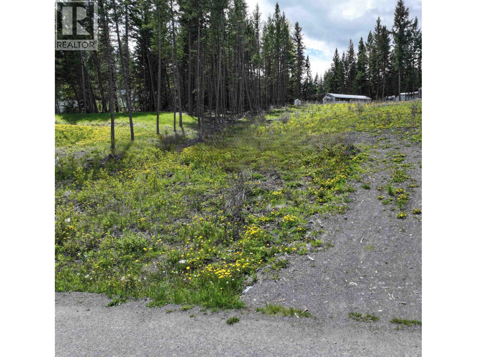 LOT 48 MULLIGAN ROAD, 100 Mile House