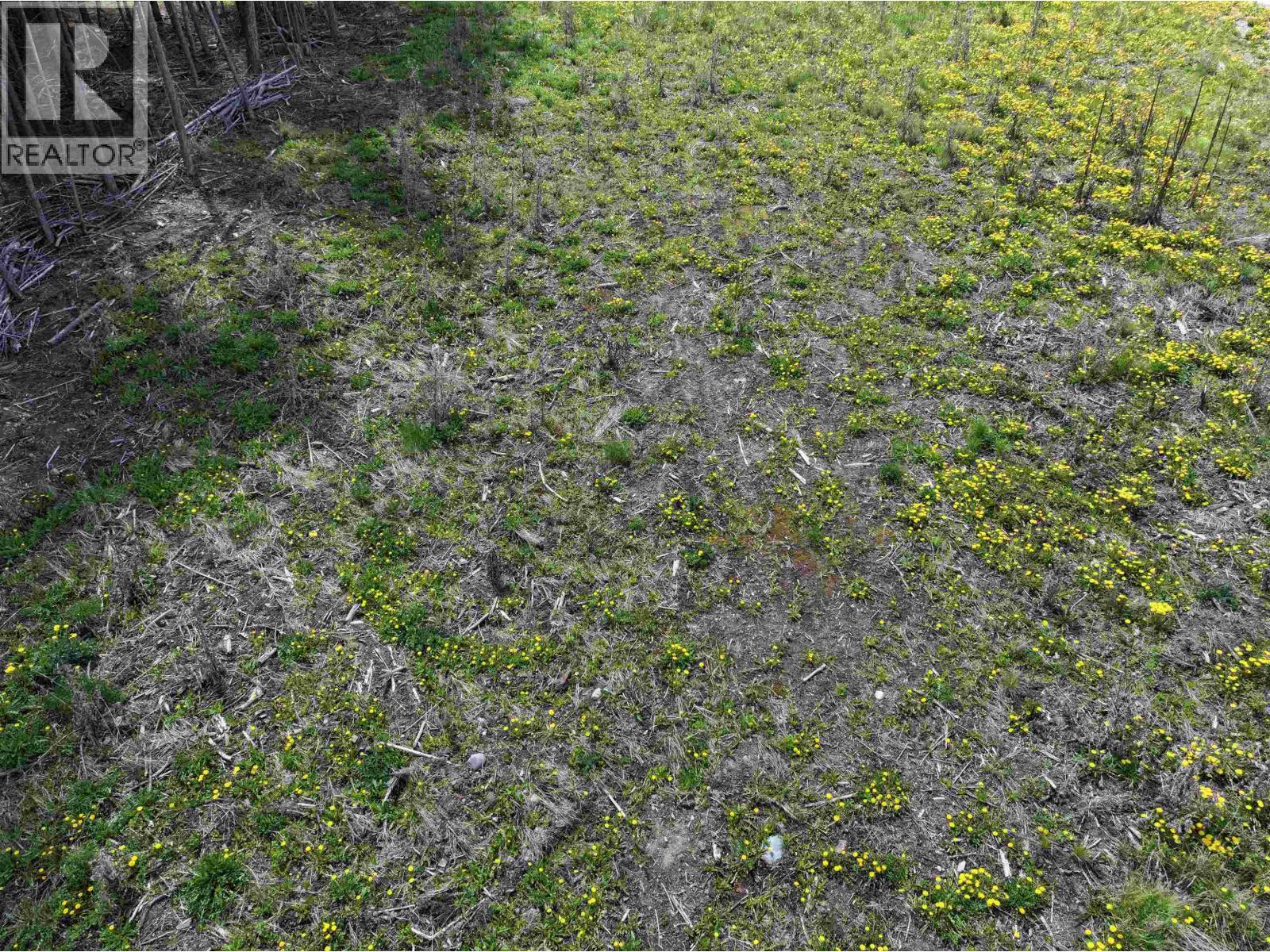 LOT 48 MULLIGAN ROAD, 100 Mile House