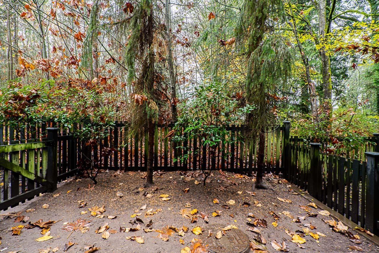 29 6123 138 STREET, Surrey