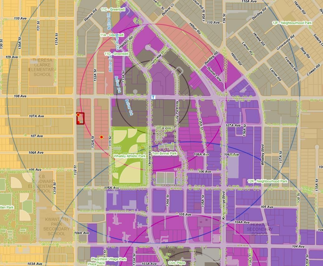 10748 132 STREET, Surrey