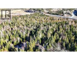 43 Spur No.1 Road, Bocabec, NB E5B3K1 Photo 24