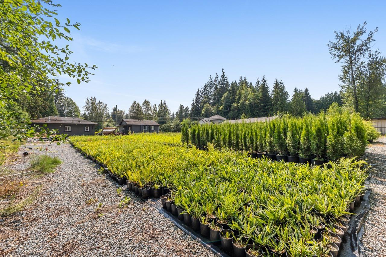 29819 DEWDNEY TRUNK ROAD, Mission