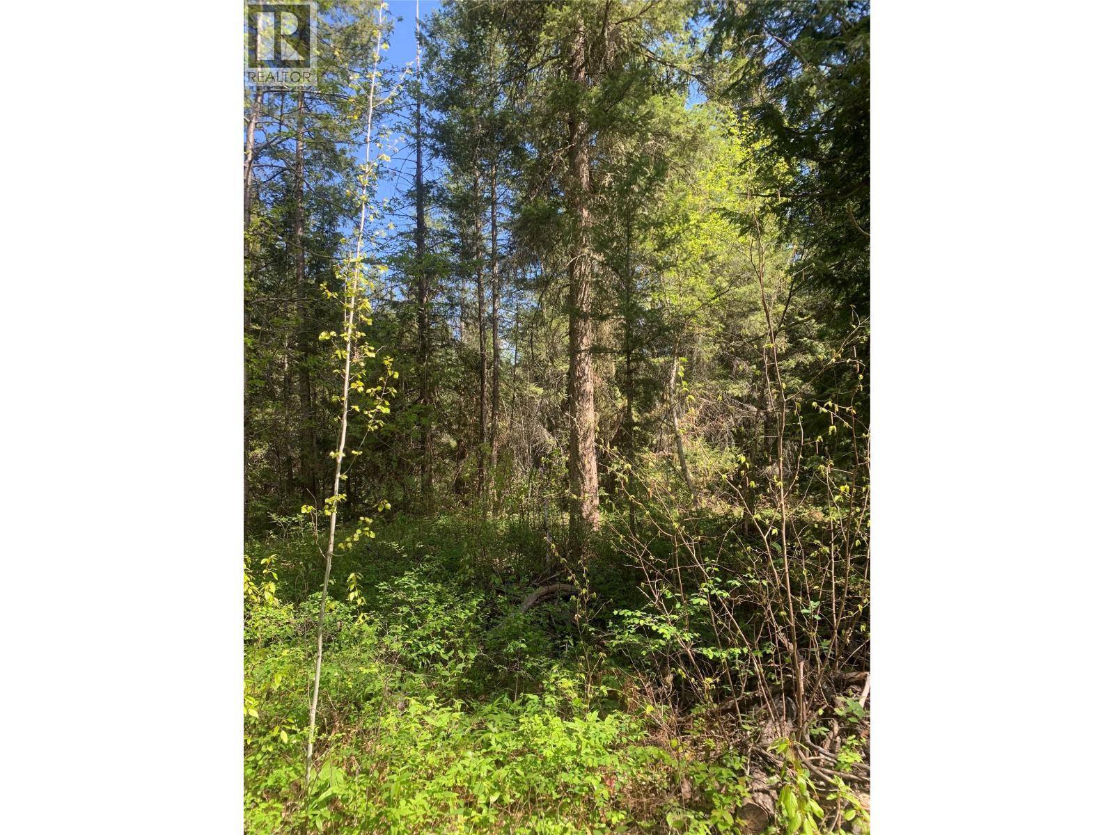 LOT A SQUILAX-ANGLEMONT ROAD - 8